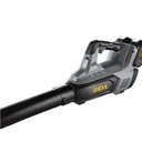 Souffleur fèy sou vant